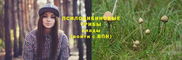 mdma Верхний Тагил